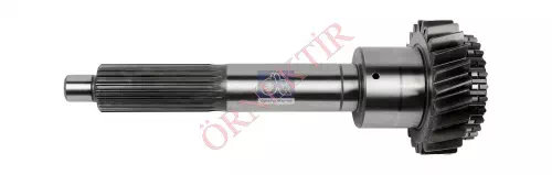 Input shaft